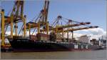 Die MSC TOKYO (IMO 9295361) wurde 2005 gebaut, ist 275 m lang, 40 m breit und hat eine GT von 65483. Heimathafen ist Monrovia (Liberia). Hier liegt sie am 26.06.2010 an der Stromkaje in Bremerhaven.