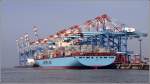 Die 2007 gebaute ELLY MAERSK (IMO 9321536) liegt am 25.09.2011 an der Stromkaje in Bremerhaven. Auf dem 56,4 m breiten Schiff htten zwei 4-spurige Autobahnen mitsamt Mittel- und Standstreifen nebeneinander Platz.