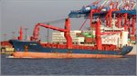 Die 2010 gebaute PALAGICA (IMO 9453781) fährt am 05.10.2016 weserabwärts die Stromkaje in Bremerhaven entlang. Sie ist 138,5 m lang und 21 m breit, hat eine GT/BRZ von 9.627 und eine DWT von 12.737. Sie kann auch 665 TEU transportieren. Heimathafen ist Singapore. Frühere Namen: NORDANA TERESA, BILLESBORG, SE PELAGICA.