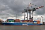 Die 1996 gebaute KALINA (IMO 9130444) liegt am 24.08.2008 an der Stromkaje in Bremerhaven. Sie ist 121,91 m lang, 18,20 m breit, hat einen Tiefgang von 8,30 m, eine GT von 6362 und kann 683 TEU laden. Heimathafen ist Limassol auf Zypern. 
