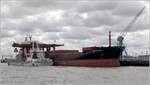 Die 1984 gebaute CURACAO PEARL (IMO 8308147) liegt am Steubenhöft in Cuxhaven und belädt die Motorklappschute L'AIGLE (IMO 9303326). Die CURACAO PEARL ist 187,5 m lang und 29,47 m breit, hat eine GT/BRZ von 27.818 und eine DWT von 42.913 t. Sie könnte auch 1.584 TEU transportieren. Heimathafen ist Nassau (Bahamas). Frühere Namen: CHELSFIELD, CRANE ARROW. 08.07.2019