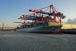 Die Cosco Germany logiert  on the rocks  im Hamburger Hafen. Das Bild des 333 Meter langen Containerschiffes entstand am recht khlen dritten Februartag des Jahres 2012.