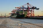 Die CSCL Saturn wirkte am 3.2.2012 wie auf Eis gelegt... tatschlich ging es fr das 366 Meter lange Schiff nur wenige Stunden spter schon wieder zurck auf offene See. (Hamburg, 3.2.2012)