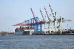 Containerterminal Tollerort im Hamburger Hafen - 12.07.2013