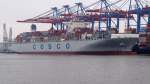COSCO  HOPE  Containerschiff      Hamburg-Hafen    8.12.2013      366 x 48 m      
