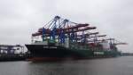 EVER LASTING  Containerschiff   Hamburg-Hafen     8.12.2013   334,80 x 45,80 m