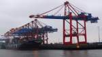 HANJIN UNITED KINGDOM    Containerschiff    Hamburg-Hafen    8.12.2013    349,70x45,60m
