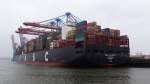 MALIK AL ASHTAR    Containerschiff   Hamburg-Hafen    8.12.2013  365,50 x 48,20 m