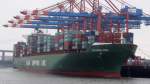 XIN HONG KONG     Containerschiff      Hamburg-Hafen     8.12.2013


336.70 x 45,64 m

