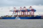 ALLEGORIA   Containerschiff   Hamburger-Hafen   04.05.2014   245 x 40m