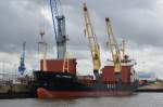 BSLE PRINCESS , Stückgutschiff , IMO 8703270 , Baujahr 1987 , 107 x 19 m ,461 TEU ,Hamburger Hafen  19.06.2015
