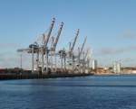 Hamburg am 8.11.2015: Containerbrücke am Tollerort Container Terminal