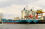 RAGNA (IMO 9173329) und DORNBUSCH (IMO 9126211) im Hamburger Hafen. Aufnahme vom 30.06.2009