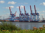 Hamburg am 16.8.2016, Blick über die Elbe auf die Containerbrücken am Athabaskakai, dahinter der Waltershofer Hafen  /