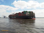 YM WHOLESOME (IMO 9704611) am 16.8.2016, Hamburg, Elbe, Höhe Blankenese  /  Containerschiff / BRZ 144.651 / Lüa 368 m, B 51 m, Tg 16,02 m / 1 Diesel, MAN-B&W/Hyundai 11S90ME-C9.2, 53.250 kW