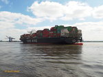 YM WHOLESOME (IMO 9704611) am 16.8.2016, Hamburg, Elbe, Höhe Blankenese  /
Containerschiff / BRZ 144.651 / Lüa 368 m, B 51 m, Tg 16,02 m / 1 Diesel, MAN-B&W/Hyundai 11S90ME-C9.2, 53.250 kW (72.399 PS), 23,2 kn / 13.800 TEU / gebaut 2015 bei Hyundai, Ulsan, Süd Korea / Flagge + Heimathafen: Hong Kong, China / Operatot: Yang Ming Marine Transport Corporation / 