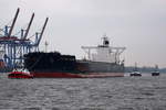 FRONTIER FALCON , Bulk Carrier , IMO 9546980 , Baujahr 2011 , 292 × 44.98m , 15.03.2018 Hafen-Hamburg