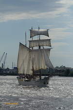 MARE FRISIUM (IMO 5344592) am 14.6.2019, vor dem Wind segelnd, Hamburg auslaufend, Elbe Höhe Landungsbrücken /
3-Mastmarstoppsegelschoner / BRZ 210 / Lüa 49,5 m, B 6,7 m, Tg 3,3 m / Segelfläche: 634 m², 9 kn / 1 Diesel, Scania, 264 kW, 359 PS, 7 kn  / 90 Tagesgäste, 36 Pass., 12 Kabinen / Eigner: Tall Ship Company,  Flagge: Niederlande, Heimathafen: Harlingen / gebaut 1916 als Logger, 
