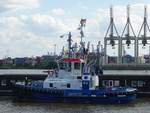 FAIRPLAY XV (IMO 9681091) am 14.8.2019, Hamburg, Elbe, Schlepperponton Neumühlen /   Ex-Name: JAN /  Seeschiffsassistenz-Schlepper / Damen ASD 2411 / GT 268 / Lüa 24,47 m, B 11,33 m, Tg 5,54