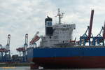 AMARYLLIS (IMO 9840491) am 14.8.2019, Detail: Schornsteinmarke, Hamburg auslaufend, Elbe Höhe Övelgönne / Ex-Name: SUNEISHI ZHOUDHAN / SS262 / Massengutfrachter (Bulk Carrier) / BRZ 43.062 / Lüa 229 m, B 32 m, Tg 14,43 m / 1 Diesel, 9.960 kW (13.545 PS), 12,4 kn / gebaut 2019 / Flagge + Heimathafen: Panama