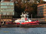 ZP BISON (IMO 9701994) am 30.10.2019, neue Schornsteinmarke der Boluda-Group / Hamburg, Elbe, Schlepperponton Neumühlen Innenkante  /    Schlepper / Damen ATD 2412 /  BRZ 299  / Lüa 24,74m,