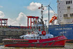 Schlepper ZP BOXER (IMO 9597355) am 26.05.2020 im Hafen von Hamburg