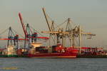 ALEXANDER B. (IMO 9328649) am 7.9.2020 im verklärenden Abendlicht: Hamburg, Elbe, Liegeplatz Athabaskakai /

ex: MAERSK RUNDVIK bis 10.2007 /

Feederschiff  / BRZ 14.072 / Lüa 154,59 m, B 24,5 m, Tg 9,5 m / 1 MAN-Diesel, 7 S 50 MC-C, 11.060 kW (15.042 PS), 19,3 kn / 2006 bei Hegemann Rolandwerft, Bremen / Flagge: Antigua&Barbuda, Heimathafen: St. John´s /
