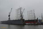 im nebligen Hamburg am 11.11.2020: Blohm + Voss Dock 11 mit dem im Bau befindlichen Gerüst für die Überdeckung des Docks /
