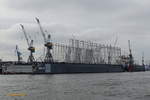 Blohm + Voss Dock 10 am 28.1.2021 mit dem im Bau befindlichen Gerüst für die Überdeckung des Docks, es entsteht für 13 Mio.
