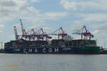 CMA CGM CONCORDE (IMO 9839208) am 9.8.2022, Hamburg, Waltershofer Hafen, Eurogate Container Terminal /  Containerschiff (CMA CGM Megamax-24 Klasse) / BRZ 236583 / Lüa 399,9 m, B 62 m, Tg  m / 1