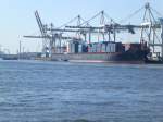 Das Containerschiff Hearsk Darwin im Hamburger Hafen.