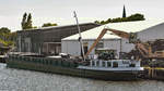 Gütermotorschiff (GMS) WELS (ENI 02313771) am 15.06.2020 im Hafen von Lübeck-Schlutup