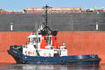 Schlepper /Tug VB BALTIC (IMO  8915471) am 10.03.2022 vor dem Bulk Carrier ELPIDA, welcher wenige Minuten später festmacht am Nordlandkai Lübeck