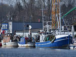 Das Fischereifahrzeuge GOT 10, Stepenitz & Neptun liegen im Haven von Travemünde. (März 2022)