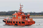 Der Delfin DELLE begleitet das Lotsenversetzboot HOLTENAU auf die Ostsee hinaus. Lübeck-Travemünde, 23.12.2023