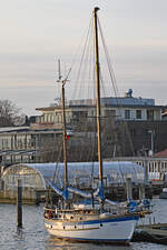 Traditionsschiff PACIFIC (Typ: COLIN ARCHER Lotsenkutter / Länge 12 m / Breite 3,75 m / Segelfläche 90 qm / Tiefgang 1,90 m / Baujahr 1981 / 2 Zweimann-Kammern / 1 Viermann-Kammer) am