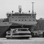 Größenvergleich zwischen dem Fahrgastschiff HANSE (ENI: 05117350) und dem Fährschiff FINNMILL (IMO: 9212656).