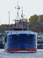 Schnell weg!!! Ein Kormoran ergreift die Flucht vor dem Frachtschiff NORDWIND (IMO: 9013000). (Travemünde, November 2025)