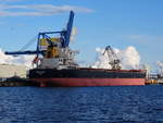MIHO PRACAT , Bulk Carrier , IMO 9384514 , Baujahr 2008 , 229 × 32.29m , 04.05.2019 , Rostock/Warnemünde