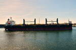 SEA FALCON , Bulk Carrier, IMO 9766358 ,Baujahr 2017 , 181 x 30 m , 30.04.2026 , Rostock-Warnem�nde