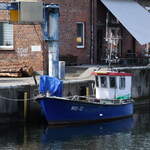 Der Fischkutter WIS-12 hat in Wismar angelegt.