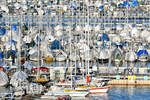 Viel los im Hafen von Oslo - u.a. können zahlreiche Segelboote angesehen und abgelichtet werden. Aufnahme vom 09.02.2023