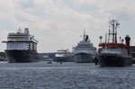 Während der Kieler Woche ist der Hafen besonders voll. V.l.n.r: Mein Schiff 5 beim Erstanlauf, Color Magic, MS Albatros und das Expeditionsschiff Alkor. (23.6.2016)