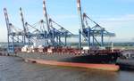 Das 270m lange Containerschiff ALEXANDRA am 28.05.17 in Bremerhaven