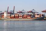 Containerfrachtschiff ANNALISA P (IMO 9437141); Datum: 15.07.2026; Aufnahmeort: Elbe/Hafen Hamburg, Deutschland.