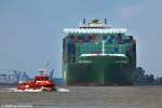 Der Brgermeister trifft die CSCL Long Beach bei Grnendeich auf der Elbe.