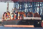 Containerfrachtschiff COSCO INDONESIA (IMO  9448786); Datum: 21.07.2026; Aufnahmeort: Elbe/Hafen Hamburg, Deutschland.