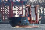 Frachtschiff ECL CHALLENGER; Eigner/Betreiber: ECL; Aufnahmeort: Elbe/Hafen Hamburg, Deutschland; Datum: 25.02.2014; Info: (IMO 9114787)  Lüa 100,6 m, B 16,5 m, Tg 5,9 m /3.343 kW, 15 kn / 390 TEU / gebaut 1995 bei ENVC Viano do Castello, Portugal