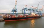Das 304m lange Containerschiff MAERSK KOBE am 10.06.19 in Bremerhaven.