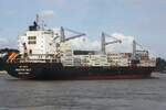 Containerfrachtschiff MAERSK NILE;  Eigner/Betreiber: Maersk; Aufnahmeort: Elbe/Hafen Hamburg, Deutschland; Datum: 28.07.2025; Info: (IMO 9385972) Das Bild zeigt die MAERSK NILE vor dem Bubendey Ufer.